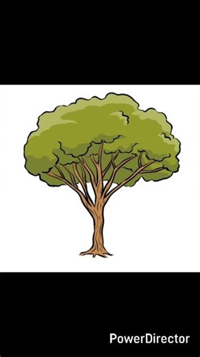 How to draw beautiful Tree