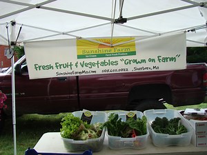 Farmer's Market Sprouts up in Milton Village