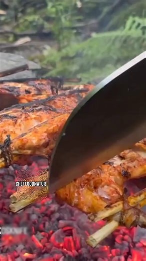 Cooking Chicken Over Wood 🐔🪵Cooking Chicken on a wood grill#shorts #short #tiktok #nature #food