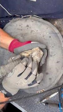 Nautilus fossil that was found by a friend and has been prepared by the Yorkshire Fossils Team