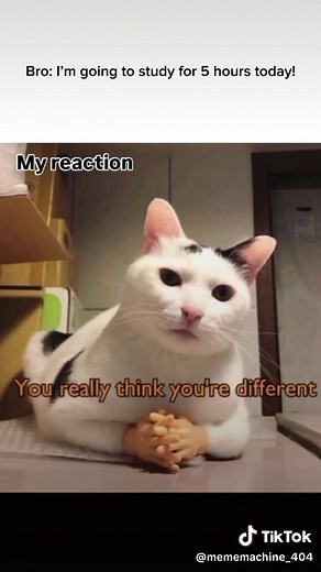 Overcoming Self-Doubt: A Relatable Meme Experience