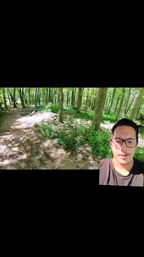 Dna Reptiles on TikTok