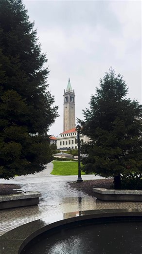 Your rainy day moment of zen at UC Berkeley. 😌☔ | UC Berkeley