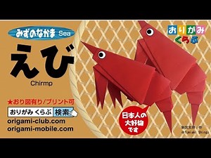 折り紙 Origami・えび Prawn