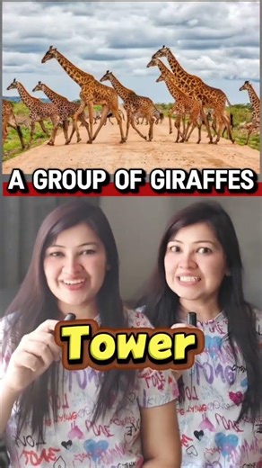 How to Speak English Fluently in 30 Days Step-by-Step Guide #speakconfidentenglish #englishlanguage