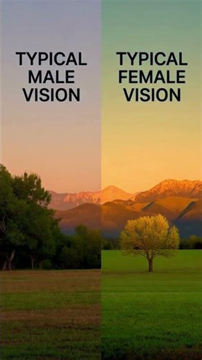 😱 Yeh Test Karo - 99% Log Fail! Kitne Colors Dekh Sakte Ho Tum? 🌈