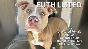 49K views · 3.7K reactions | Sad news: LUCY was "euthanized" by OC...