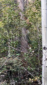 1.2K views · 48 reactions | Extreme Pursuit Outfitters LLC. on Reels | Facebook