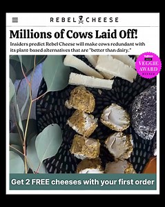 Get TWO FREE cheeses with your first order (over $50). Delicious cheese without the dairy, lactose, or cholesterol 🧀 | Rebel Cheese