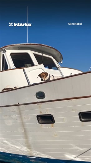 Interlux Yacht Paint on Instagram: "If this doesn't get you to love the smoothness of our Pre-Kote Plus + Toplac Plus combo what will? Thanks as always for the mesmerizing process video @oseana.grandbanks. #interlux #interluxyachtpaint #boat #boatlife #boating #yacht #yachtlife #yachting #sailing #boatcare #boatmaintenance #boatrestoration #boatinglife #boatsboatsboats #coating #paintjob #beforeandafter #customboats #glossyfinish #restorationproject #hullrepair #oceanlife #luxuryyacht"