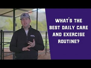 What's the Best Daily Care and Exercise Routine for My Calf?