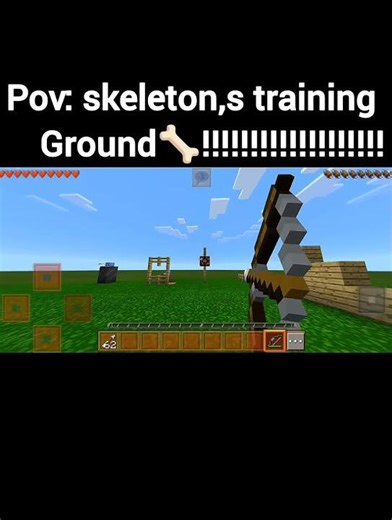 Minecraft Skeleton Training Ground #minecraft