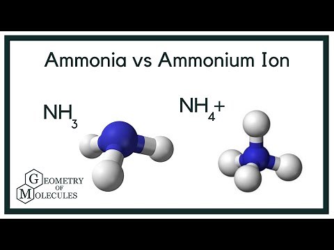 Ammonia vs the Ammonium Ion (NH3 vs NH4 +)