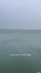 Bay Area Discovery Museum on Reels | Facebook