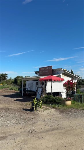 I pass this flower shop every day and finally checked it out! Didn’t buy anything today, but I will next time. So cute for local, natural flowers! 🌿🤎🌼✨ #Supportlocal #Localflowers #freshflowers💐 #smallbusinesslove #flowerlover
