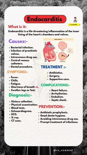 Understanding Endocarditis: Symptoms and Treatment Options