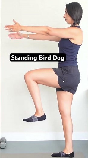 Bird dog exercise standing if you can’t get down on the floor!