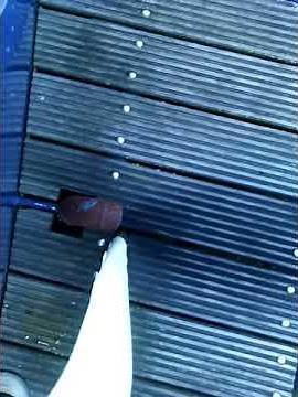 Peugeot Indenor XDP 4.90 3.0 boat engine