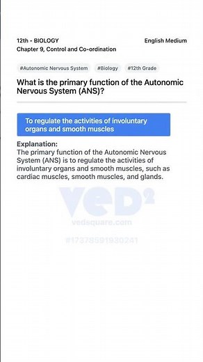 Autonomic Nervous System Function Biology 12th