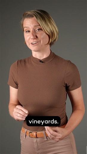 Soil matters more than you think