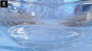 Simple Homemade Cheesy Bread Recipe with Herbs