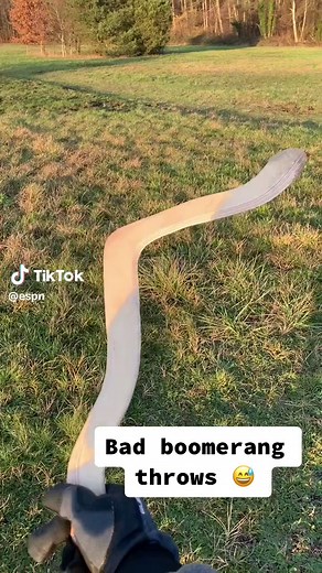 These are different 😯 (via @RamRez Boomerangs) #boomerang #throw