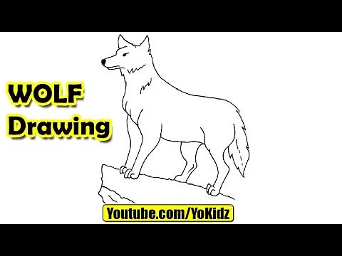 How to draw Wolf