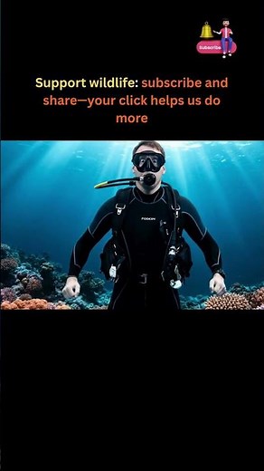 Beaked Sea Snake: Deadliest Sea Snake? Venom, Bites & Safety