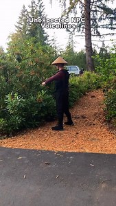 5.4K views · 4.8K reactions | Who's in charge of the coding around here? - #npc #gaming #memes #fallout #halflife #gmod #gmodirl #trexmorgan #tf2 #portal2 #fyp #memes #dankmemes #videogames #teamfortress2 #valve #garrysmod | TRexMorgan | Facebook