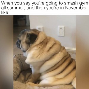 Well this is awkward... | Four Nine