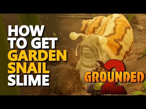 How to get Garden Snail Slime Grounded 2
