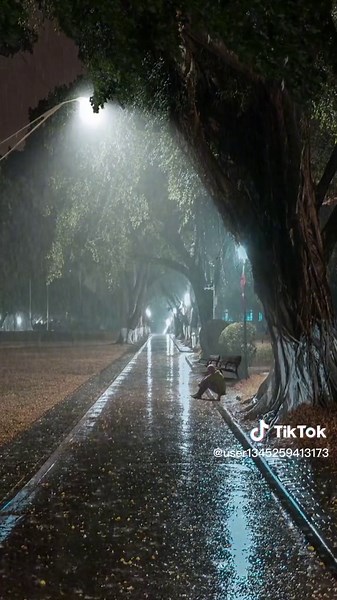 Rain and Wind Sounds for Meditation and Relaxation