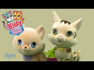 Kitty in my Pocket Kitty Carrier Series 3 from Just Play