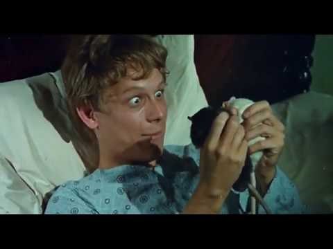 Willard (1971) - Trailer