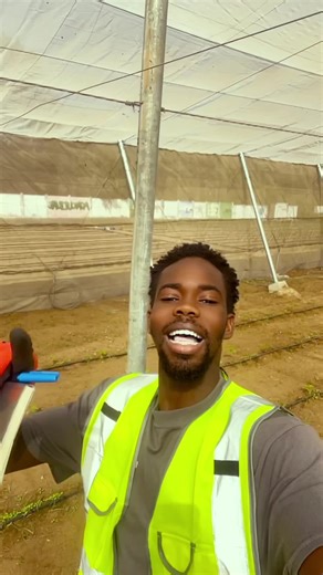 La presentation et l'évolution du champs PLEIN CHAMP TUNNEL ET SERRE #viralvideos #mataragripro