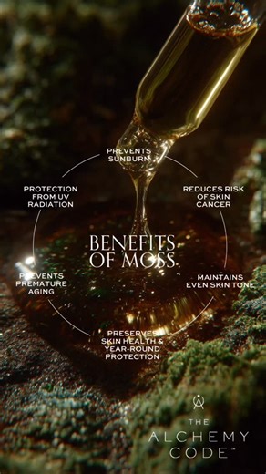 The Alchemy Code™️ | A Beauty Apothecary on Instagram: "Did you know moss is one of nature’s oldest survivors? It thrives in the harshest conditions and has since the dawn of time. Its unique ability to store water, resist environmental stress, and protect itself translates beautifully into skincare. That’s why we created Moss + Plum 67, a key part of our Resilience System. Moss helps skin hold on to hydration, strengthens the barrier against pollution and stress, and restores balance where it’s