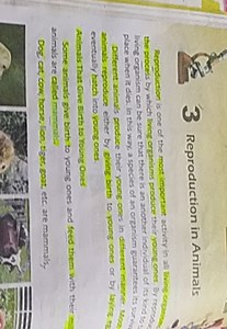 3 Reproduction in AnimalsReproduction is one of the most impo... | Filo