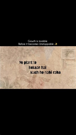 Bamboo Tree Theory 🎍- Day 20/365