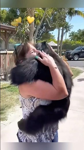 【涙腺崩壊】命を救ってくれた恩人にハグをする野生動物たち…涙をこらえてご覧ください🥺❤️