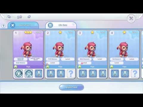 LK Crit PVE Build - Small spender | ROX Global