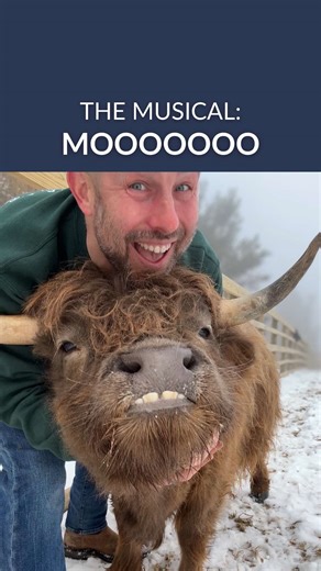 Moo: The Musical – A Dreamy Foggy Morning Performance