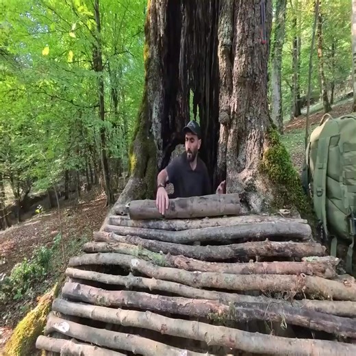 2.7K views · 32 reactions | Building a Secret Underground Shelter Deep Inside Big Oak Tree, bushcraft, survival_006 | Off-Grid Adventures | Facebook