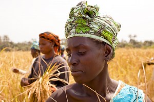 IFAD Impact Assessment Report 2019-2021