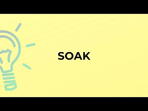What is the meaning of the word SOAK?