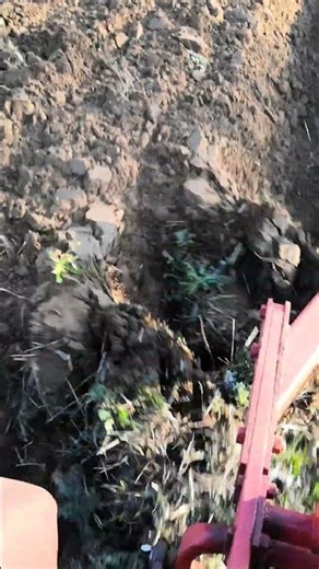 Universal 445 oranje plug 756 vk