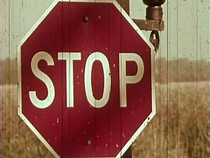 Boating Safety Guide: Boat Trailer & US Coast Guard Tips