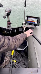 519K views · 2.3K reactions | Welsbiss落. Es ist großartig zu sehen, wie der Wels sich deinem Köder nähert, bevor er zuschlägt✌️. Vom Boot aus zu angeln ist eine der aufregendsten und auch sehr effektiven Methoden des Angelns! Es ermöglicht dir, nach den Welsen zu suchen, anstatt darauf zu warten, dass sie dich finden. | Black Cat Fishing Deutschland | Facebook