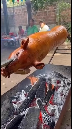 Lâu ngày tính quay con heo đãi tiệc tất niên mà bị xổng mất :v | Vincent