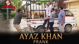 7.5M views · 152K reactions | Bakra Eid Speical Prank With Ayaz Khan collaboration with Surmawala Cattle Farm Watch On YouTube:https://youtu.be/u3ZvCzaNOnY Like Surmawala Cattle Farm: https://www.facebook.com/SurmawalaCattleFarm Directed By: Rafay Iqbal #P4PAKAO_PRANK_AYAZ_KHAN | P 4 Pakao | Facebook