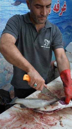 How to Fillet a Fish (Easy Tutorial for Everyone)